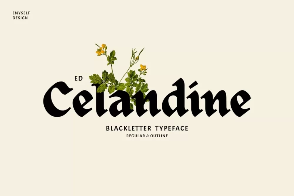 ED Celandine Font