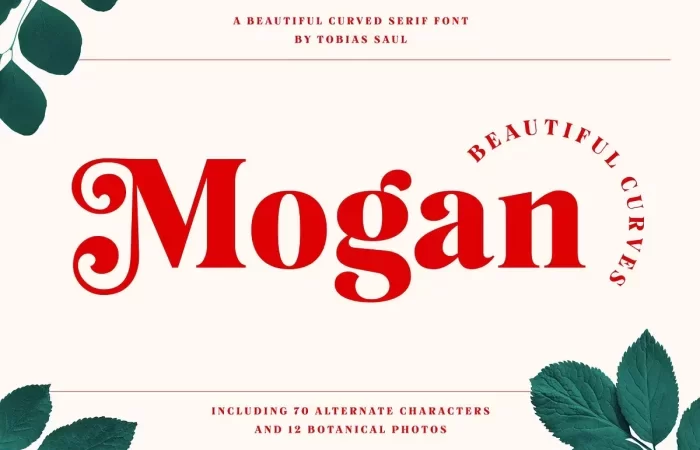 Mogan Font