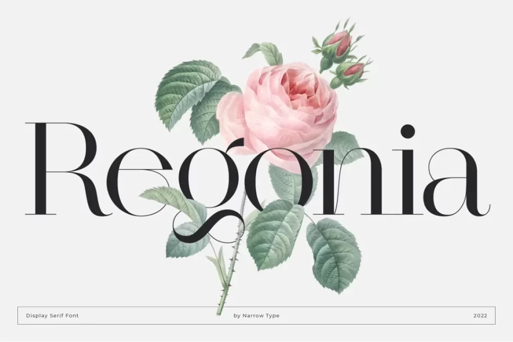 Regonia Font