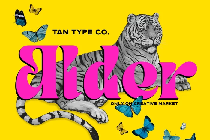 Tan - Alder Font