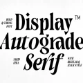 Autograde Font