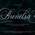 Brenelsa Font