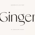 Ginger Font