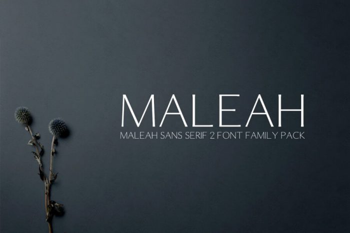 Maleah Font