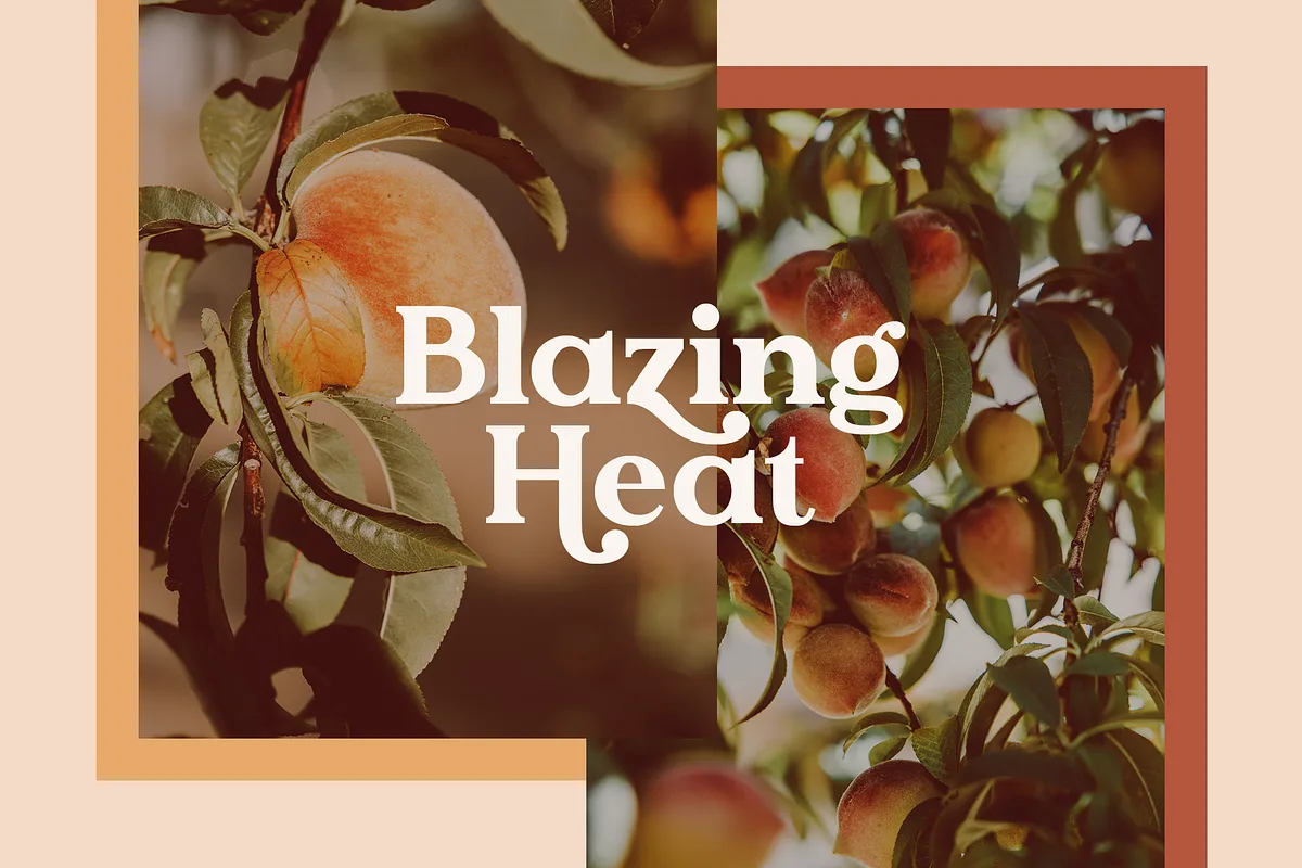 apricosa font preview 2 Free Download - Fontfreebie
