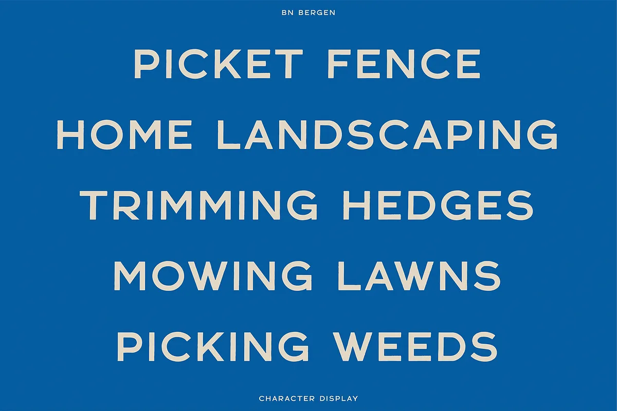 BN Bergen Font Free Download - Fontfreebie bn bergen font preview 1 Free Download - Fontfreebie