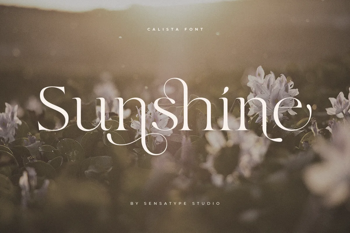 Calista Font Free Download - Fontfreebie calista font preview 5 Free Download - Fontfreebie
