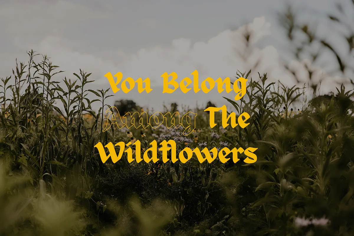 ed celandine font preview 3 Free Download - Fontfreebie