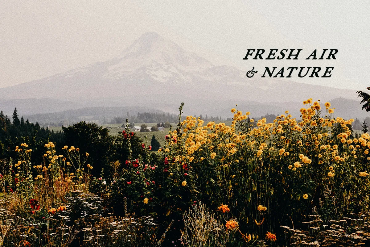 fabello font preview 1 Free Download - Fontfreebie