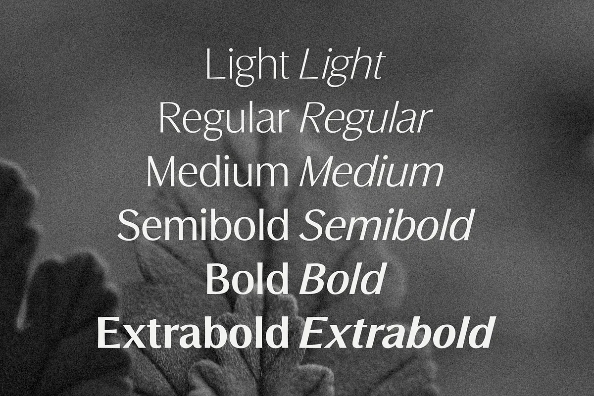 Figura Sans Font Free Download - Fontfreebie figura sans font preview 1 Free Download - Fontfreebie