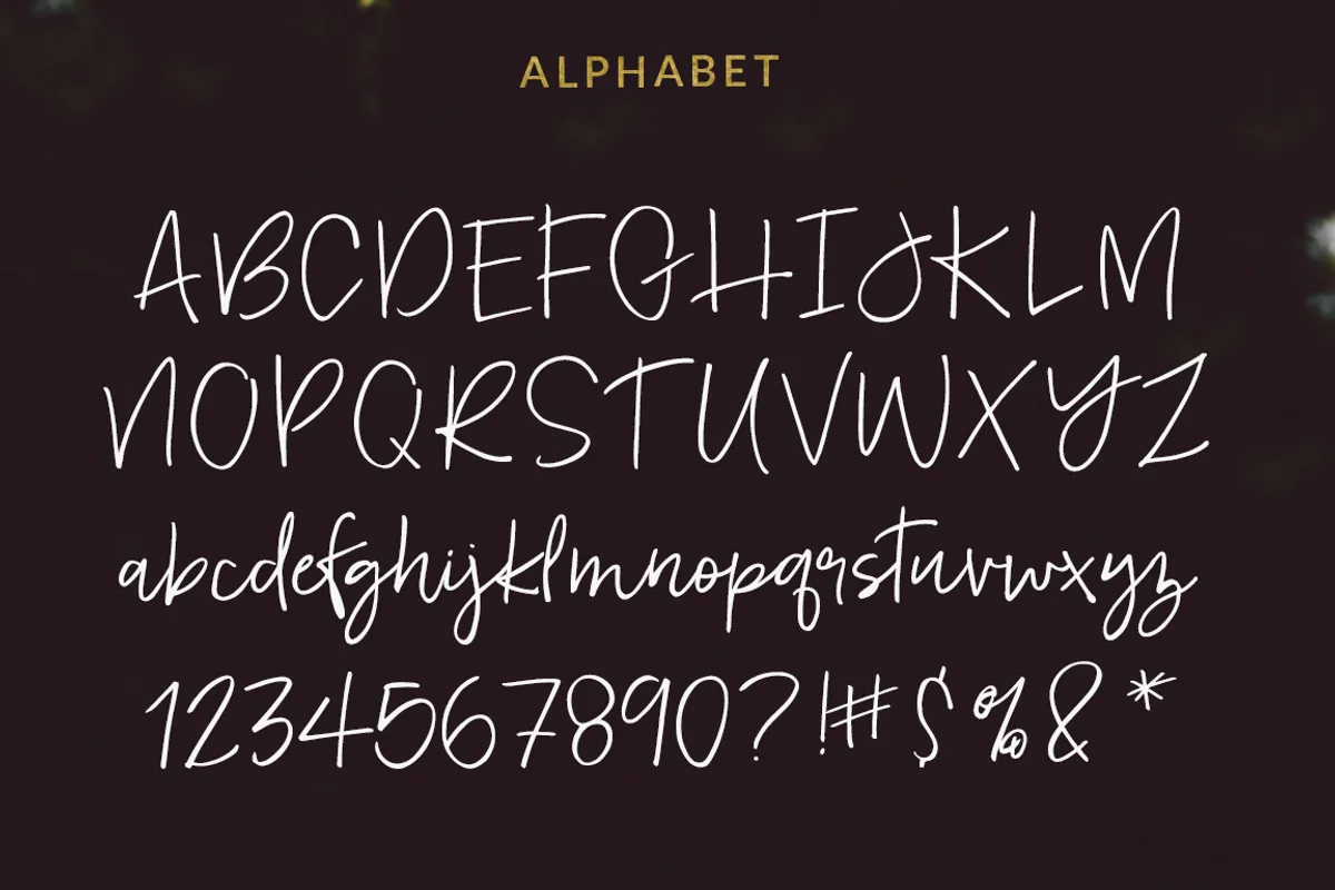 foxglow font preview 2 Free Download - Fontfreebie