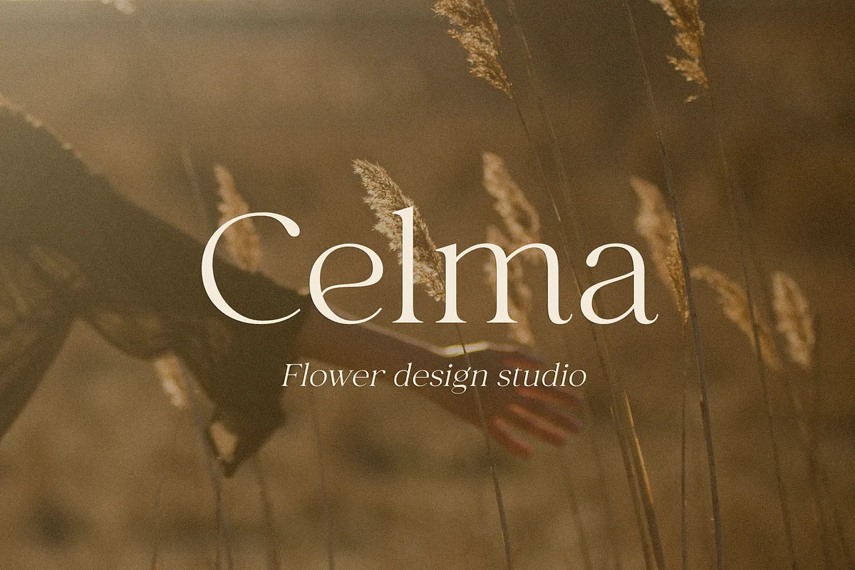 Selna Font Free Download - Fontfreebie selna font preview 3 Free Download - Fontfreebie