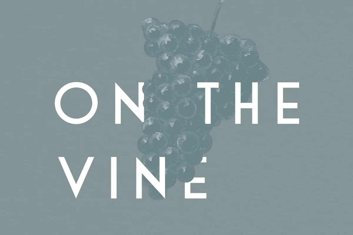 sinclaire font preview 1 Free Download - Fontfreebie