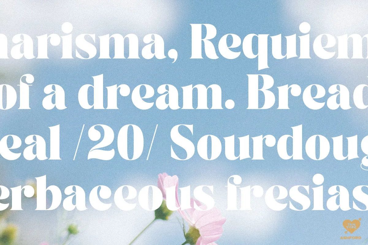 tan ashford font preview 1 Free Download - Fontfreebie