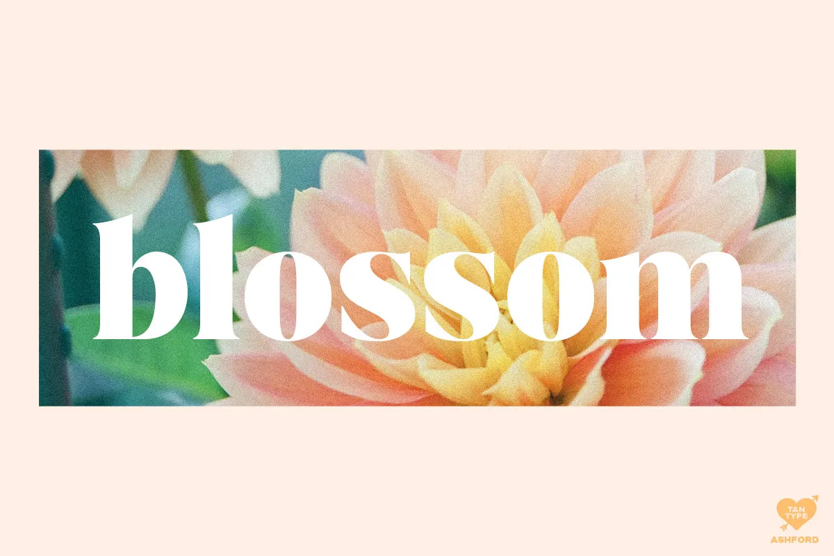 tan ashford font preview 2 Free Download - Fontfreebie