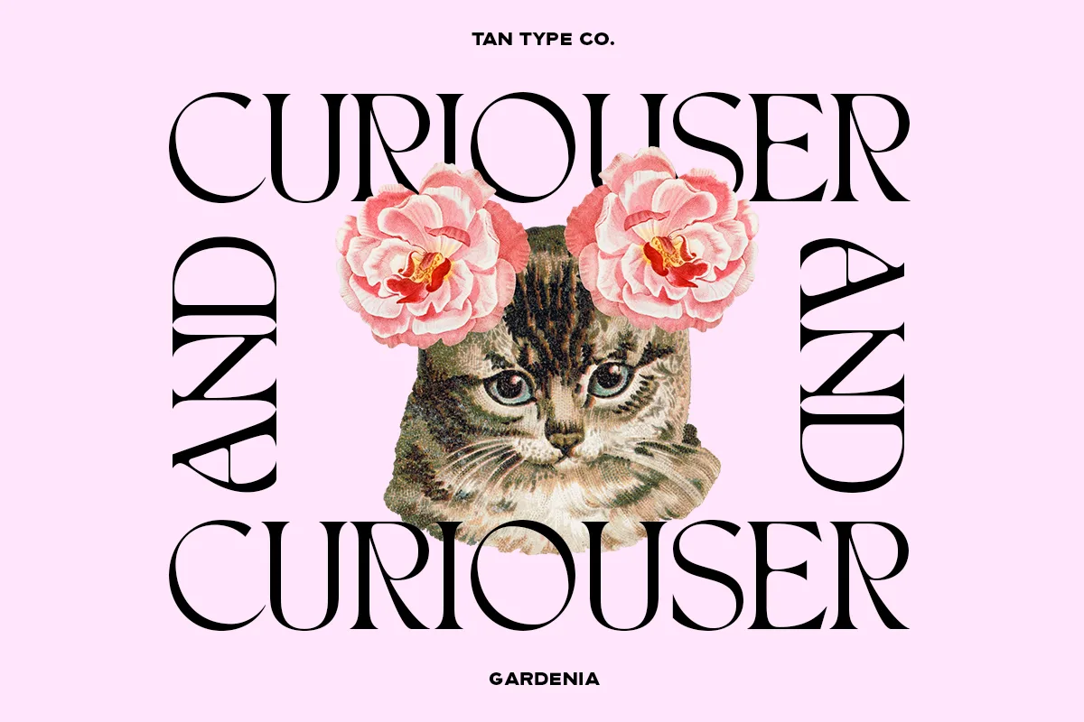 tan gardenia font preview 3 Free Download - Fontfreebie