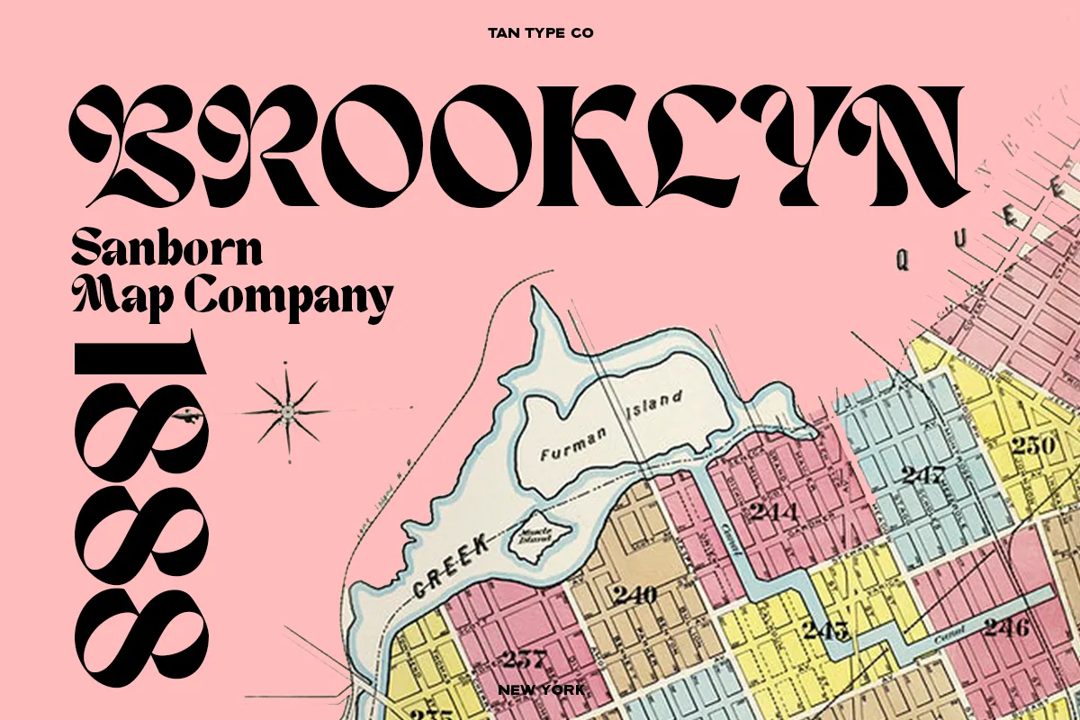 TAN - NEW YORK Font Free Download - Fontfreebie tan new york font preview 1 Free Download - Fontfreebie