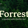 Forrest Font